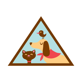 Brownie | Pets