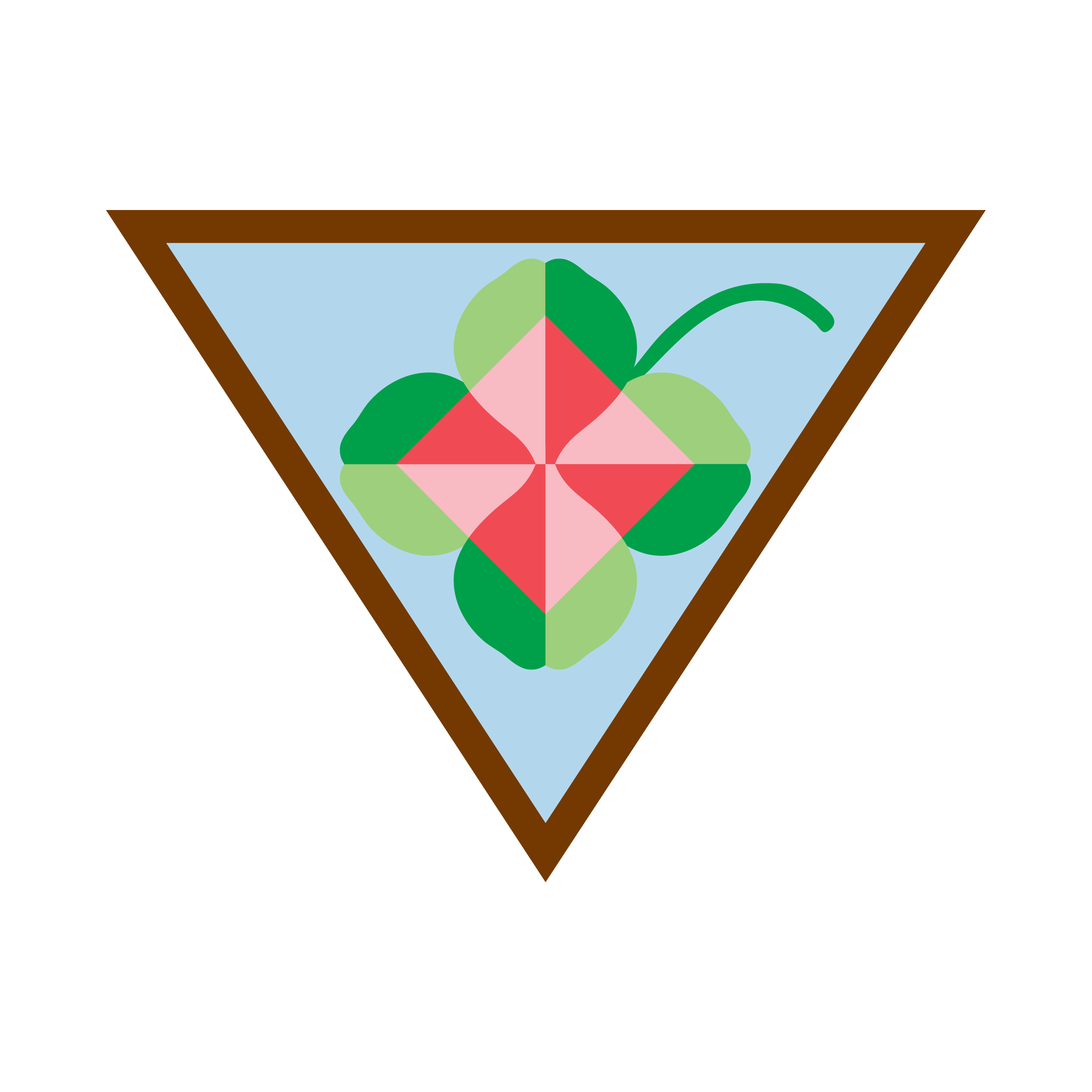 Brownie Shapes In Nature Badge