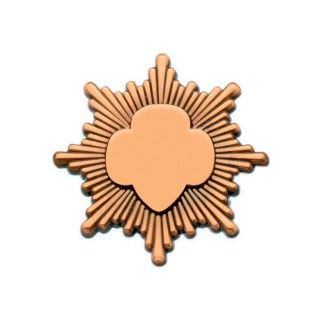Bronze Award Pin