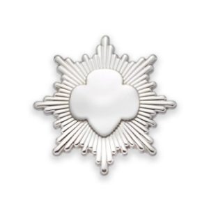 Silver Award Pin